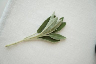 Sage: новое место на карте гастрономической Москвы